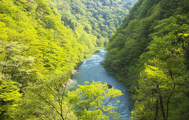 丹精した山々の至宝。