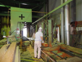 製材が始まります。